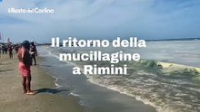 Il ritorno della mucillagine a Rimini. Il video