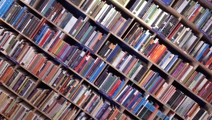 Los Otros Libros - Silvina Vuckovic - T4 C14