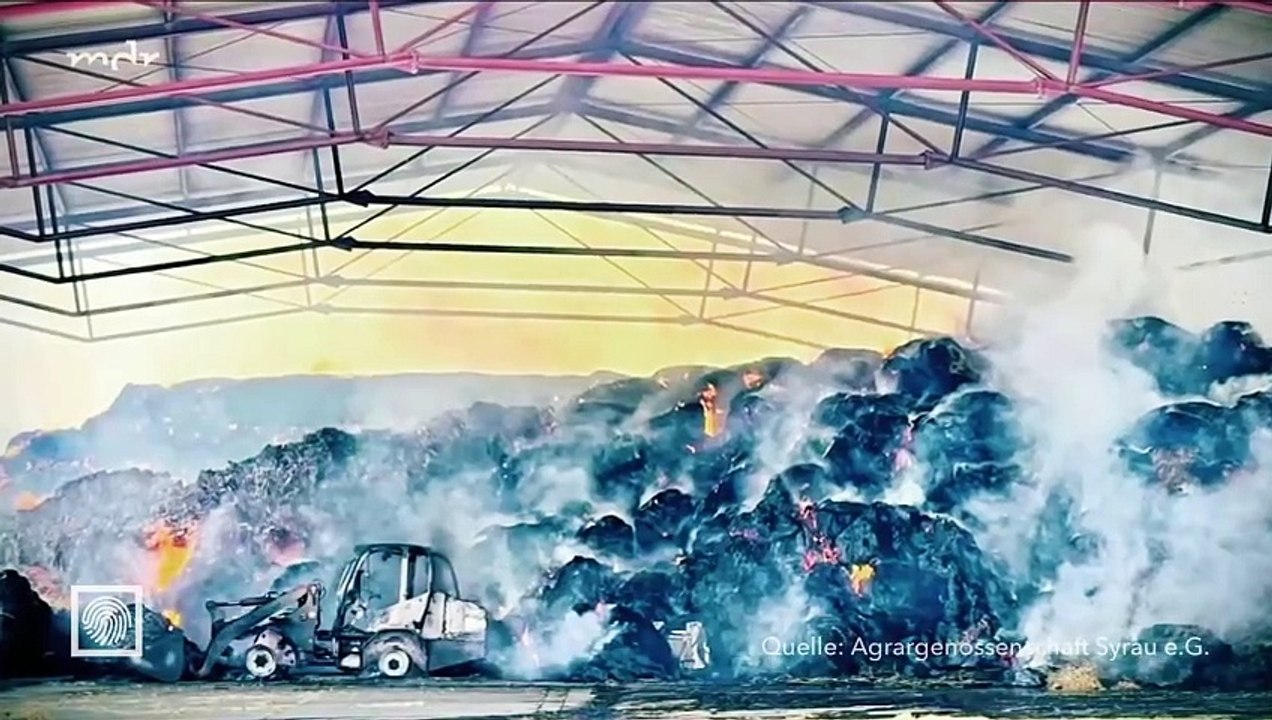 Kripo live vom 04.August 2024