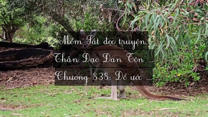 Mới 2024 Chương 835-849: Thần Đạo Đan Tôn