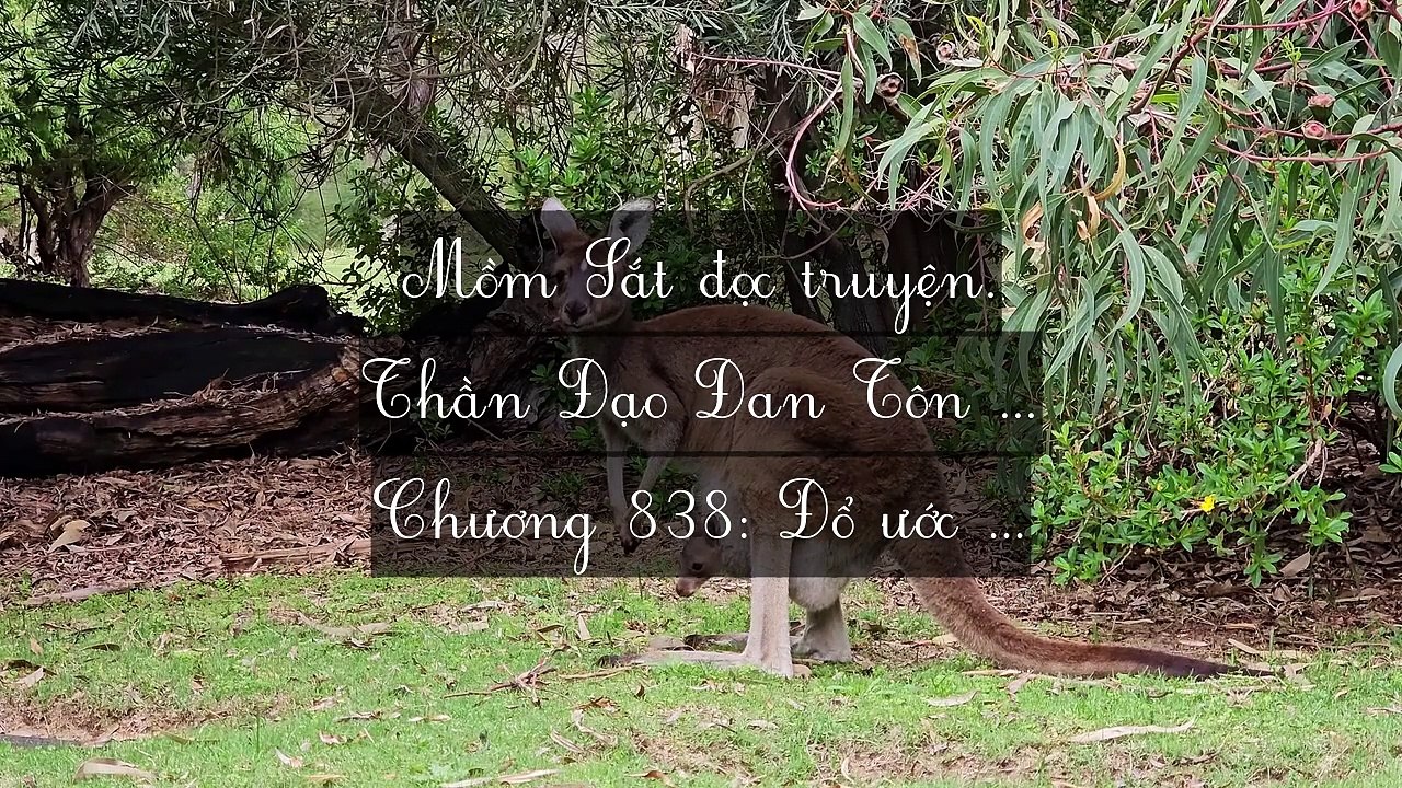 Mới 2024 Chương 835-849: Thần Đạo Đan Tôn