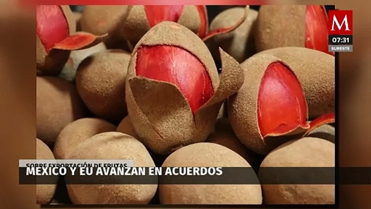 México y EU avanzan en acuerdos sobre exportación de frutas