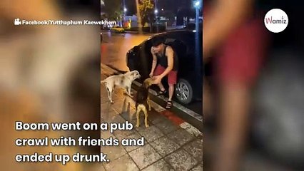 Man screams when he discovers what he took home with him during a drunken night