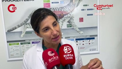 Melike Baysal" Sözün bittiği yer burası. Hiç kimsenin çözümü yok.