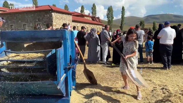 100 yıllık tarım aletleriyle buğday hasadı