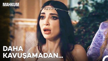 Bu Kadar Aşk Bünyeye Zarar Be Büge! - Mahkum 16. Bölüm