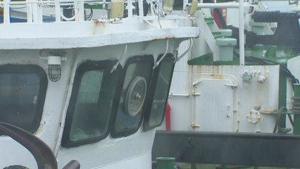 전남 무안 102mm/h, 내륙 곳곳 '물 폭탄'급 소나기기 / YTN