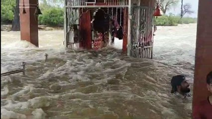 Watch Video:- जैसलमेर में 21 एमएम बारिश, अब तक 225.5 एमएम बारिश