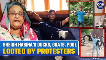Sheikh Hasina's Palace looting Drama: From Animals To Bedroom & Mattresses Taken Over