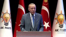 Cumhurbaşkanı Erdoğan: Sosyal medya şirketleri mafya gibi davranıyor