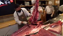 Food Kingdom - This is the best ever! 110KG raw tuna disassembly show and tuna platter course ⧸ Korean