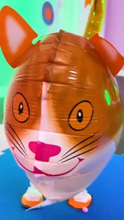 Is It A Balloon Cat?! 