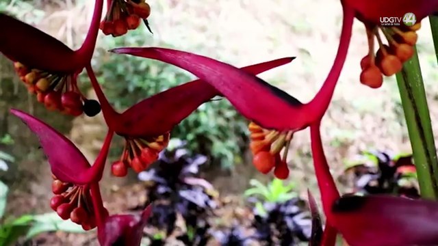 El Jardín Botánico Vallarta participa en el Congreso Mundial de Jardines Botánicos en Singapur