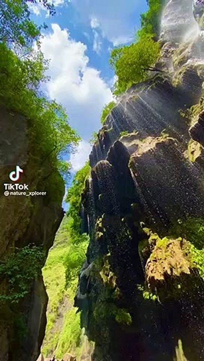 Explore nature ✨️