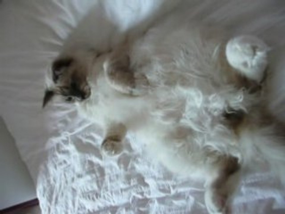 Trop dur la vie