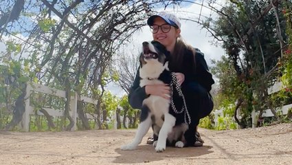 How a Dog Became the Best Antidepressant for a Woman Battling Depression 🐶