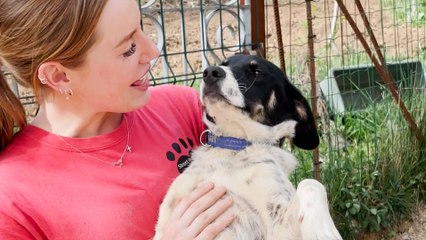 Trembling Dog Finally Lets Someone Hold Him