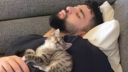 When your CAT copies your every move