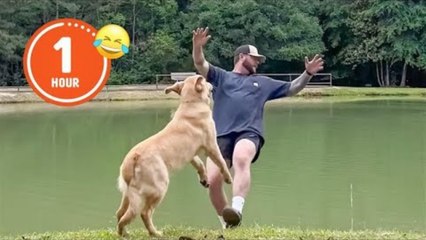 Funny & Hilarious People's Life  ll Try not to Laugh l Funny Fails Compilation