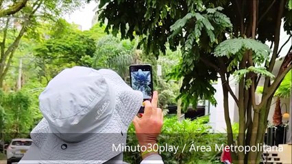Disfruta la Feria de las Flores respetando la fauna silvestre