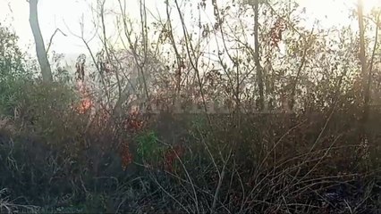 Un gran incendio de pastizales cerca de la planta de gas en Salvador Mazza puso en alerta a los vecinos