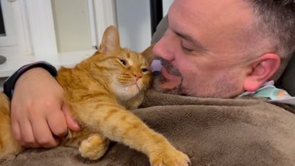 Cat Opens The Bathroom Door To Get To Dad