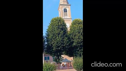 arrivata-a-casa-a-marmorta-il-vicino-inizia-a-tagliare-erba-mentre-inquadro-la-m_7eCoDSVD