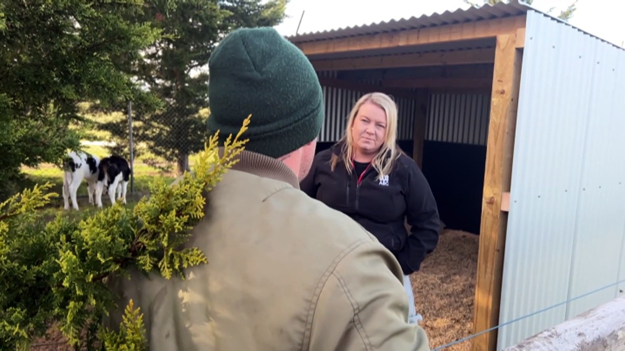 Prison inmates in Gippsland learning how to be dairy farmers