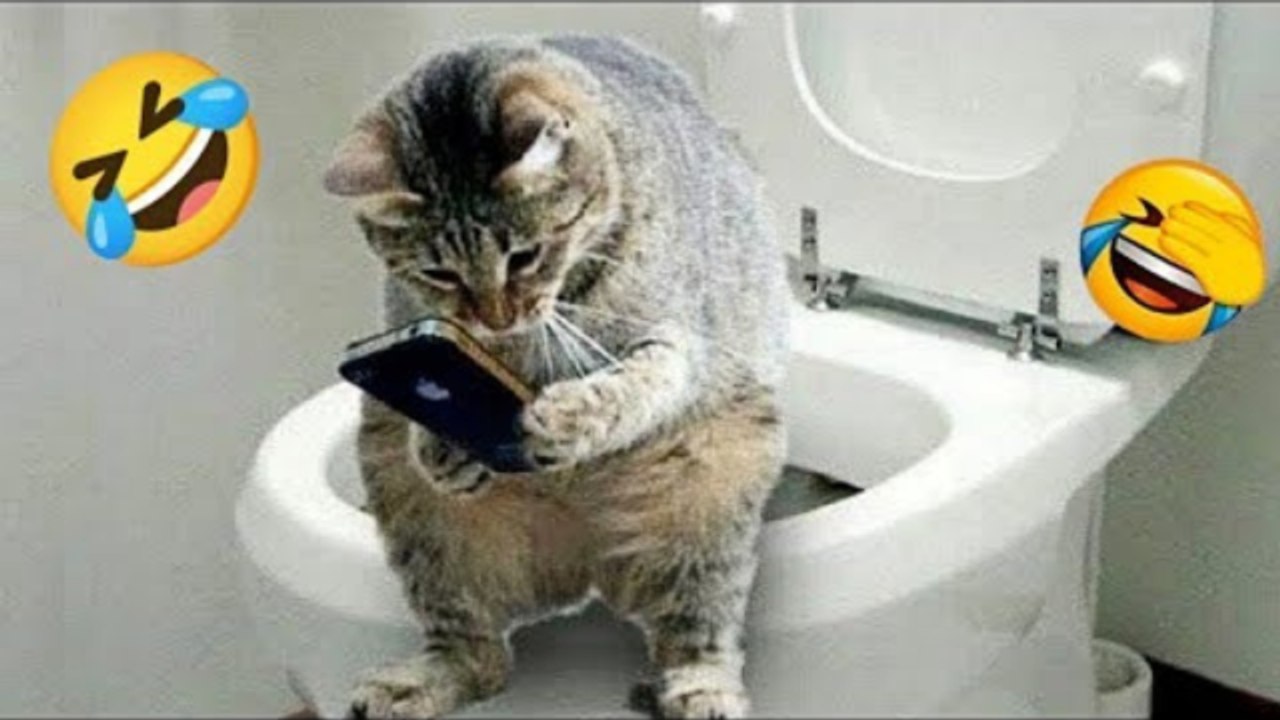 INSTANT REGRET MOMENTS That Had Me Laughing Out Loud - Funny Videos -TRY NOT To LAUGH