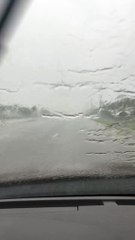 It's Dripping wet