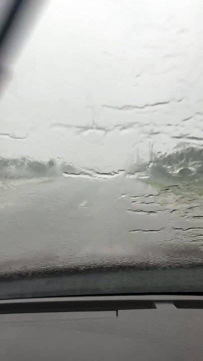 It's Dripping wet