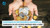 Plataformas de criptomonedas mantienen la confianza en los activos digitales pese a caída