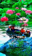 Surah Ar-Rahman سورة الرحمن | This Voice will TOUCH your HEART إن شاء الله