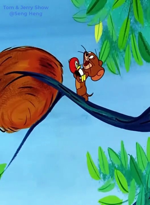 Classic Cartoon Tom and Jerry