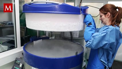 La criopreservación se presenta como una forma de conservar un cuerpo después de la muerte