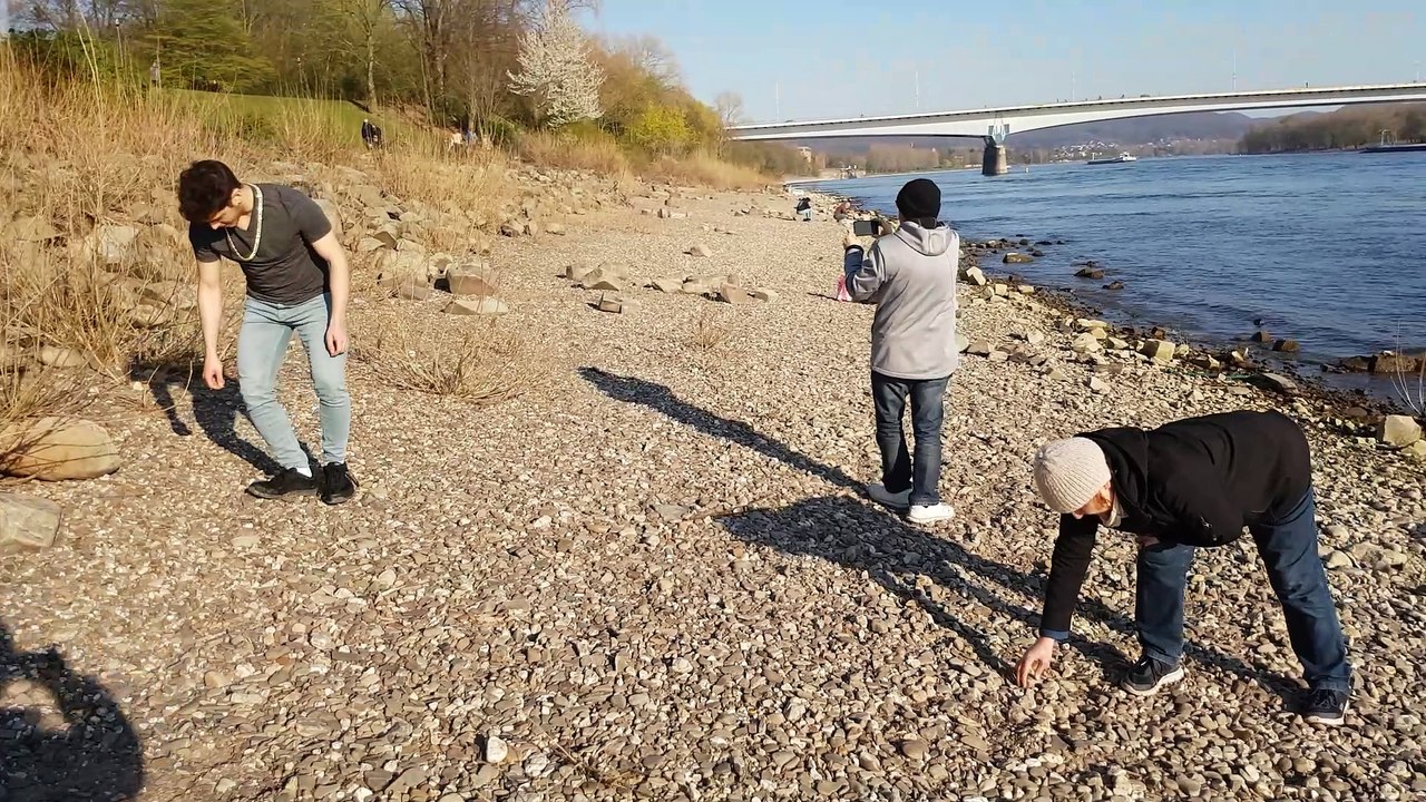 Rhein 2020 - 5