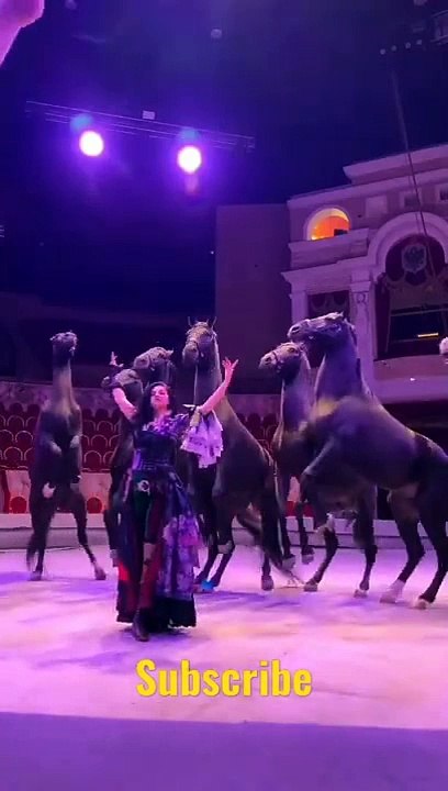 Circus video