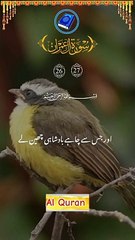 Surah Al Imran verses 26 - 27 Urdu Translation _(720P_HD)