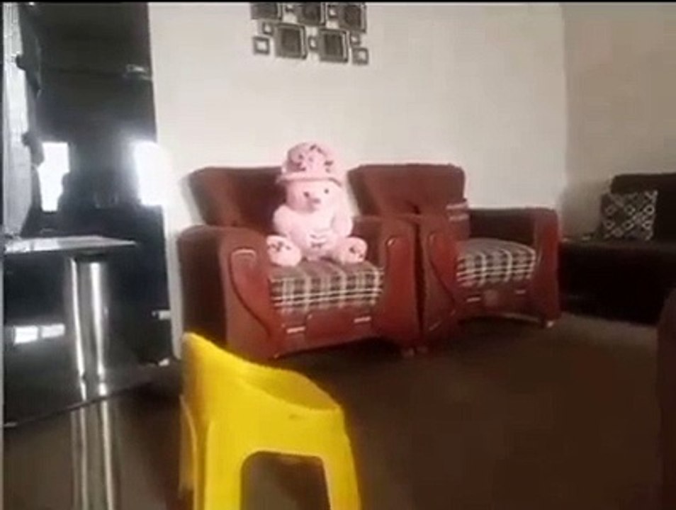 FB_VID_702941406984545871