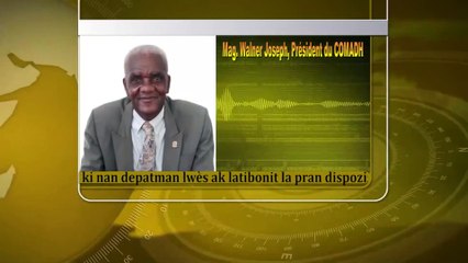 COMADH mande sibtiti komisè gouvènman Lwès ak Labonit yo pou yo patisipe nan selil anti gang.