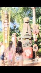Universal Volcano Bay Water Park Orlando, FL 2024