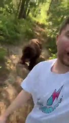 Spot The Fake Animal For $10,000