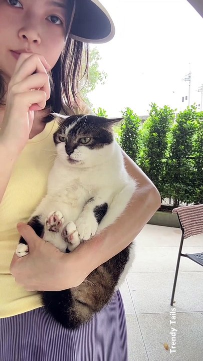 Cat Says Meow