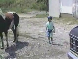 ne jamais se mettre derrière un cheval