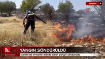 Mardin’de ormanlık alanda çıkan yangın söndürüldü