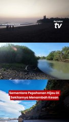 Pantai Nyanyi Yang Tersembunyi