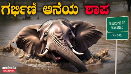 ಗರ್ಭಿಣಿ ಆನೆಯ ಶಾಪವೇ ವಯನಾಡು ದುರಂತದ ಕಾರಣವೇ? ಭೂಕುಸಿತದಿಂದ ಗ್ರಾಮಗಳು ಧ್ವಂಸ! 🐘