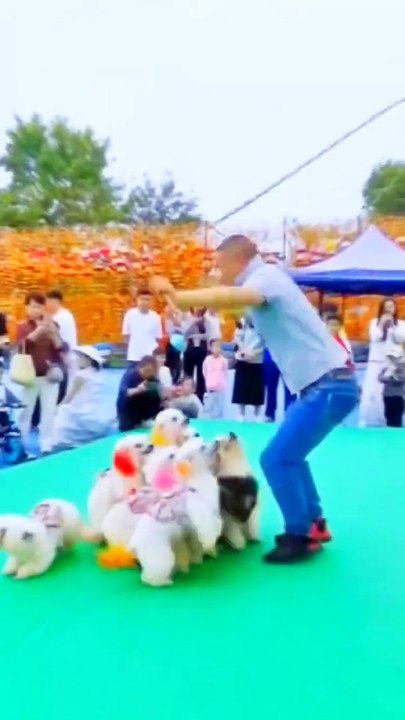 funny dog-jungle dog-#jungle book#dog#funnyvideo #funny#funnyshorts#funnymoments #funnycomedy#animal