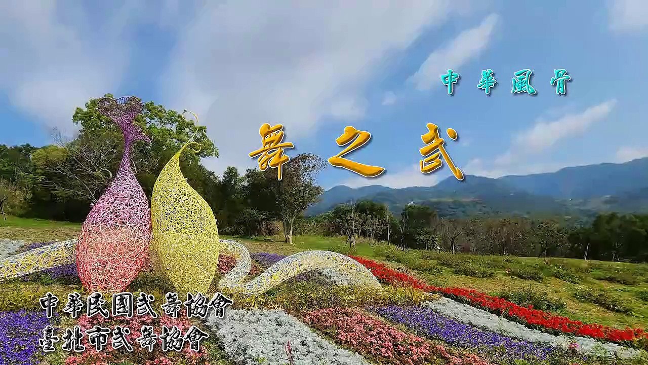 中華風骨-舞之武