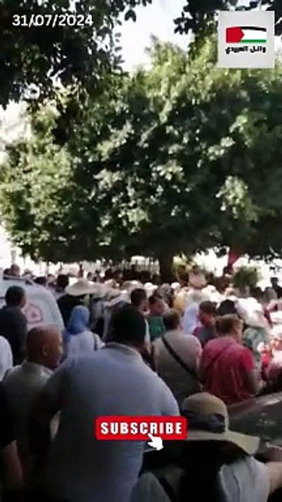 اساتذة نواب